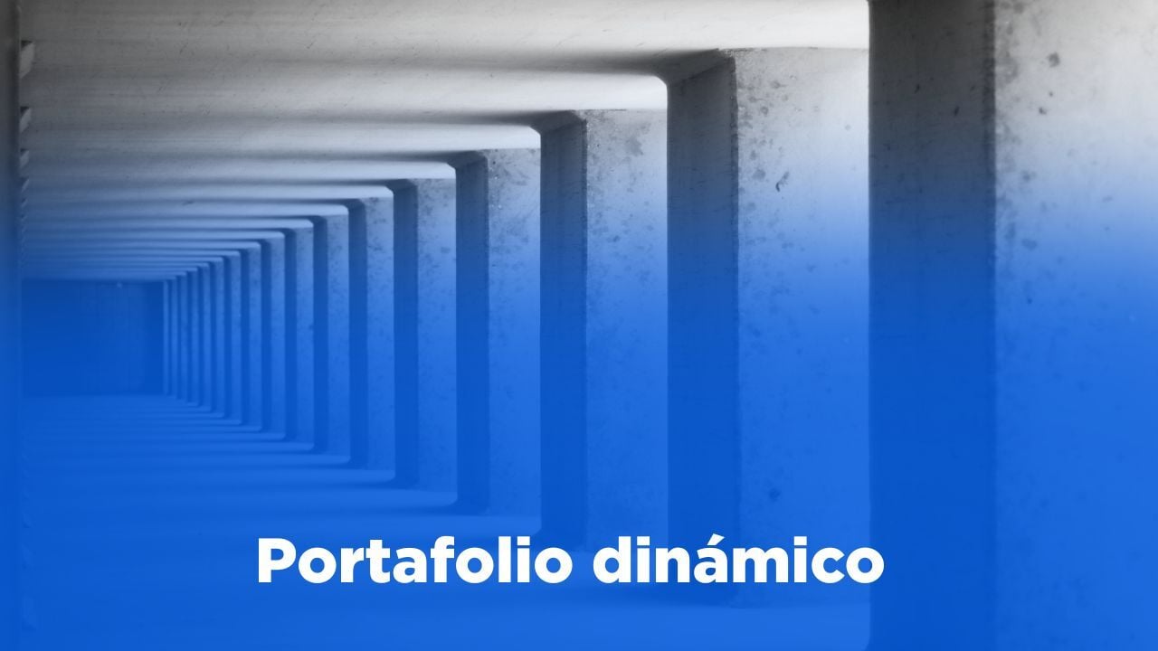 Portafolio